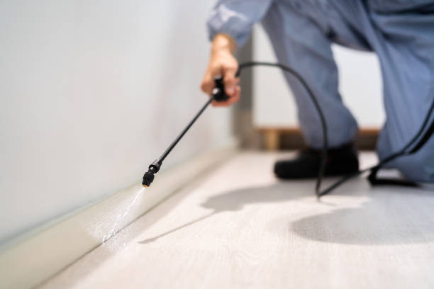 Certified termite inspector examining foundation in Somerdale