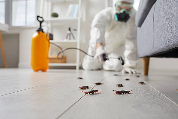 Post-Treatment Bed Bug Interceptor Monitoring in Somerdale
